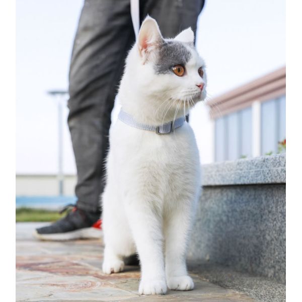 Adjustable Reflective Breathable Cat Harness Belt For Small Medium Large Kitten