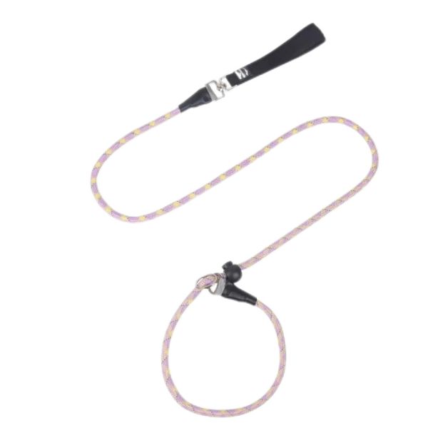 Sessões de Treinamento de Cadeia de Cães à Prova de Explosão de Alta Segurança