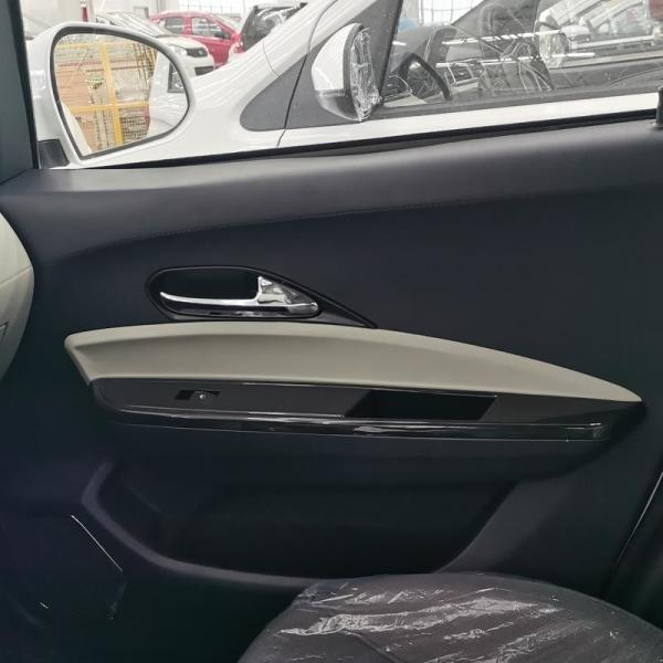 Raysince hot sales model new energy electric car 5 door 4 Seat electric saloon cars from china