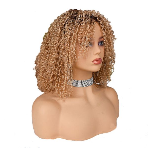 250% Density Afro Kinky Short Curly Pixie Cut Human Hair Wigs for Black Women from Top