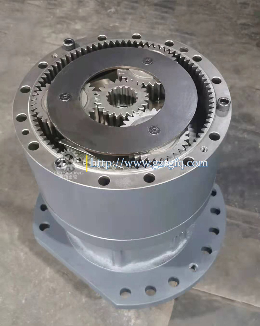130426-00024 планетарный прибор уменьшения качания собрания DX500-9C Reductor