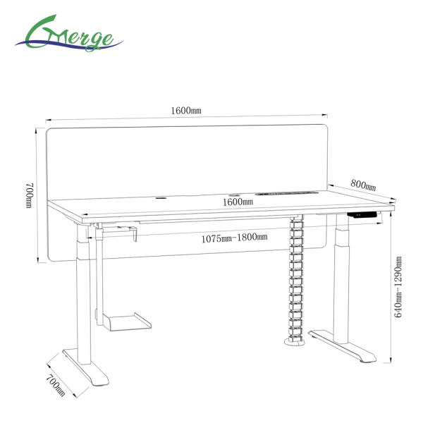 Modern Work Office Desk with Cable Management Uplift Standing Desk 355 Lbs Weight Capacity Modern Style