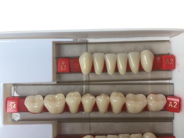 Acrylic Resin Denture Teeth Set Repair Surfaces 2 Layers Super Hard Synthetic Dental Teeth