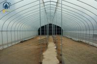 Durable Single Span Tunnel Greenhouse For Hydroponic Vegetable And Fruit Planting