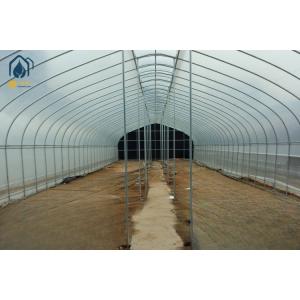 Single Span Tunnel Greenhouse