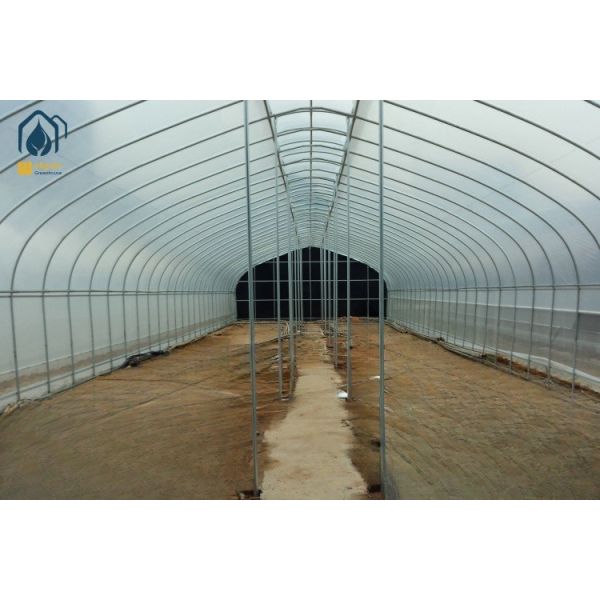 UV Protection Tunnel Greenhouse Durable Hydroponics Greenhouse Efficient