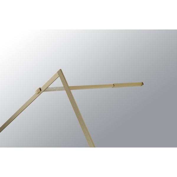 golden Stainless Sliding 6mm Tempered Glass Shower Door 1200X2000mm