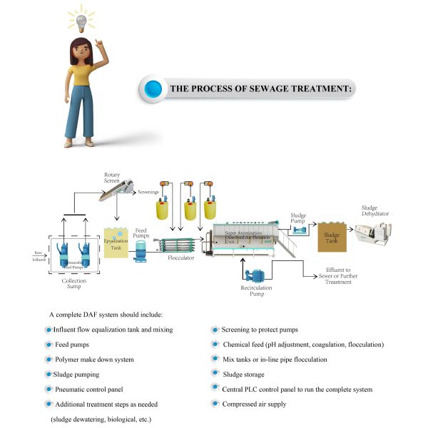 IEPP Manufacturer Factory Wastewater Treatment DAF System WWTP Gray Water Purification Machine Dissolved air Flotation Equipment