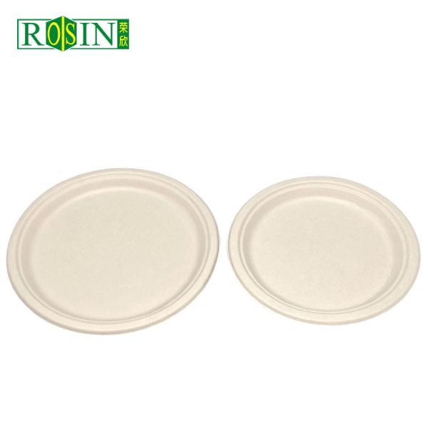 Customized Biodegradable Food Containers Disposable For Wedding Party