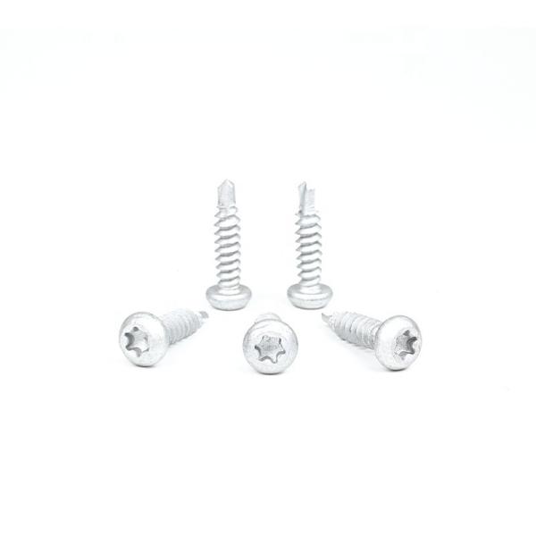 Pan Head Torx Drive Self Drilling Tapping Screw for Metal in 304 Stainless Steel