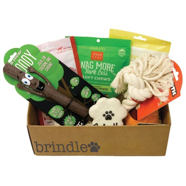 Yummy Treats Personalized Dog Toy Box Festive Holiday Themed
