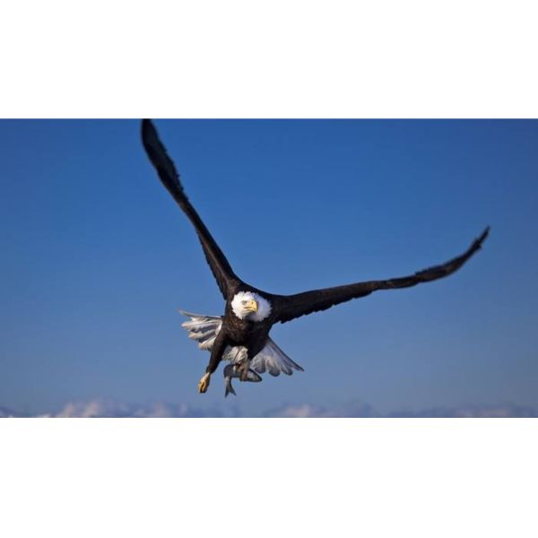 Outdoor SMD 3030 12W LED RGB Wall Washer