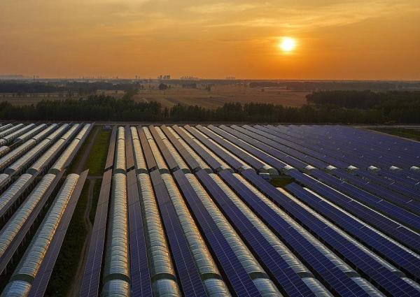 Customization Multi-Span Arch Type Cucumber Lettuce Photovoltaic Greenhouses jx-SG-20