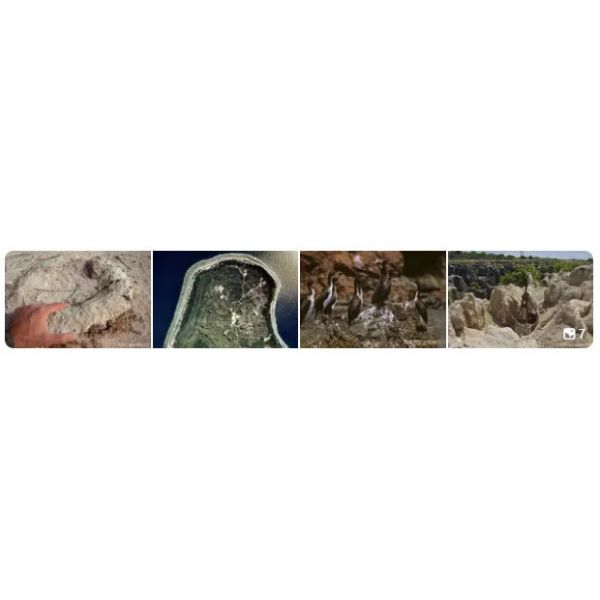  Complete Set of Equipment Droppings Natural Organic Fertilizer Production Line