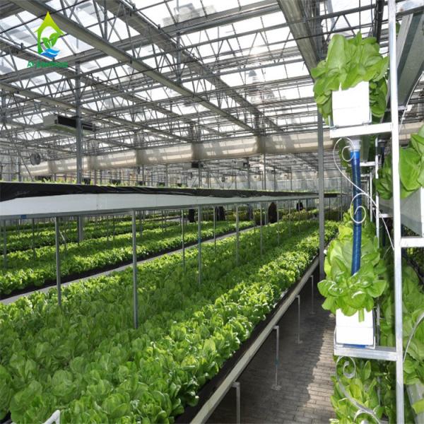 90 sistema hidropônico Soilless da tubulação dos locais 10