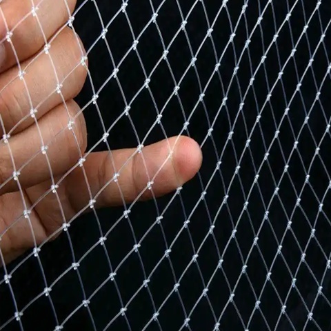 Green White Color Anti Bird Garden Netting To Protect Any Kinds Of Fruits