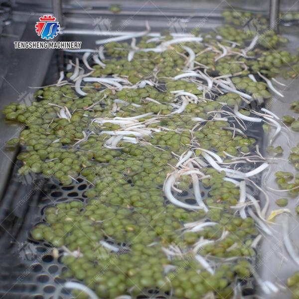 Single cylinder fruit and vegetable washing machine with slag separator Leaves Vegetables Onions Leafy vegetables Cabbage varieties Herbs Fruiting vegetables Wash Washer Washing Cleaning processing