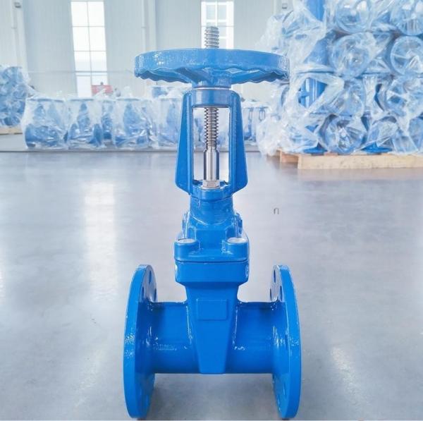 DN300 Rising Resilient Seated Gate Valve GGG50 Ductile Iron Valves