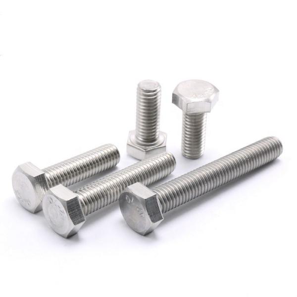 Hexagonal Head Bolts and Nuts Ss 304 316 Stainless Steel Galvanized Steel DIN931 DIN933 Half Thread