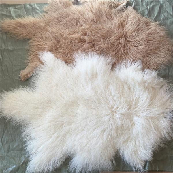 A pele tibetana branca natural material do Mongolian do lambswool da pele de carneiro encaracolado longa esconde