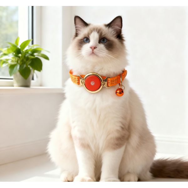 Comfortable Rechargeable Eco-Friendly Waterproof GPS Wireless Dog Collar Electronic Fence Training Nylon Plastic Orange Fashion