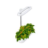 Machine croissante hydroponique automatisée d'engrais de système d'AC240V 12W