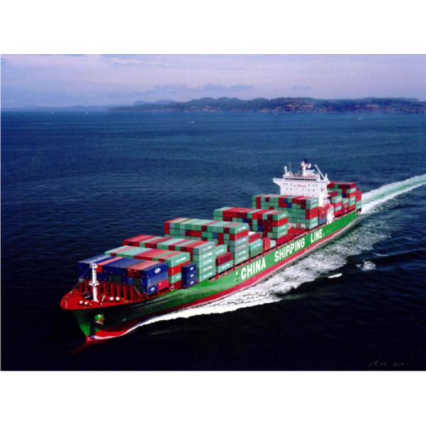 Ocean Freight Forwarding From QINGDAO China To The US Port International Dropshipping