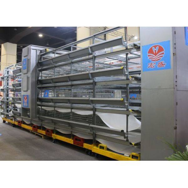 Industrial Manure Removal Equipment Chicken Farm Machinery Easy To Operate