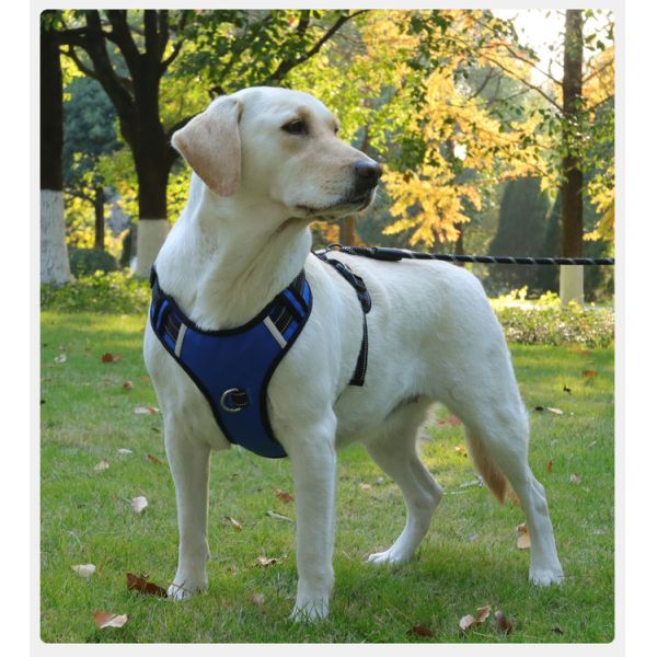 Pet Anti breakaway Harness Reflective Multifunctional Anti Lost Harness For Large Dog