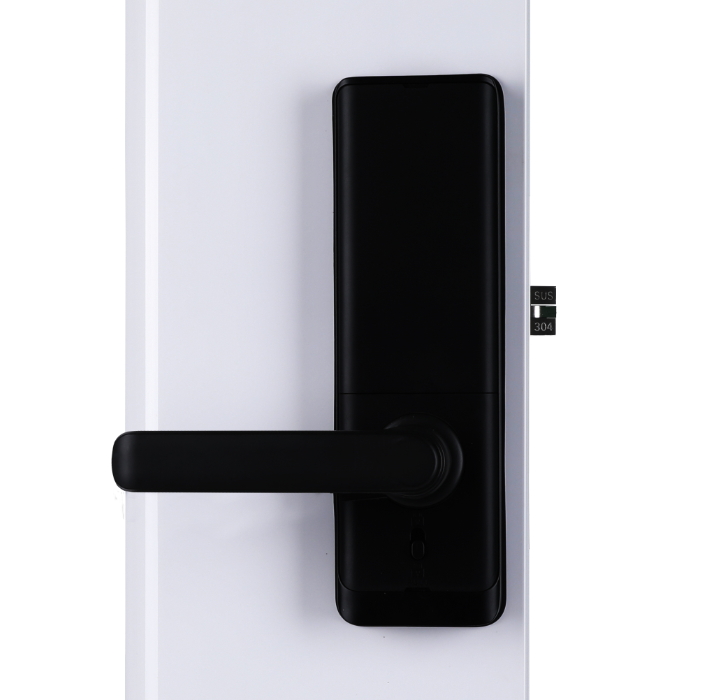 Умный ключ Wifi Интеллектуальный электронный дверной замок безопасности Замок отпечатков пальцев с удаленным управлением Приложение для офиса