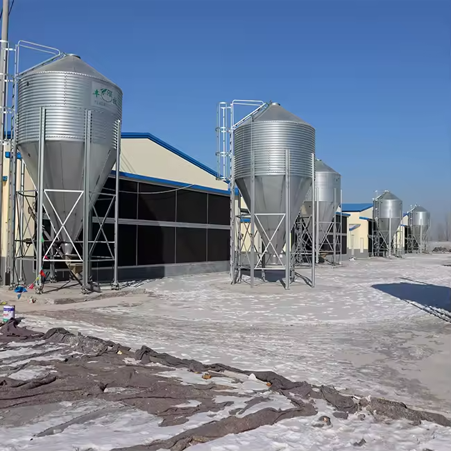 Prefab Steel Structure Chicken House for Poultry Farm Chicken Shed Metal Farm Shed Building