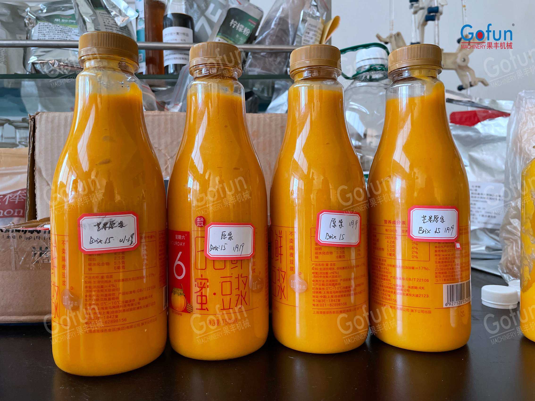 Mango Pulp vs Dried Mango Processing Line | Choose Your End Product Configuration