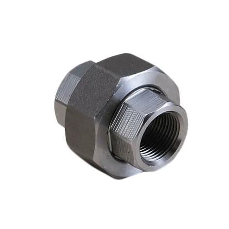 Métal BSPT acier inoxydable 304 de qualité exceptionnelle personnalisé personnalisation Union