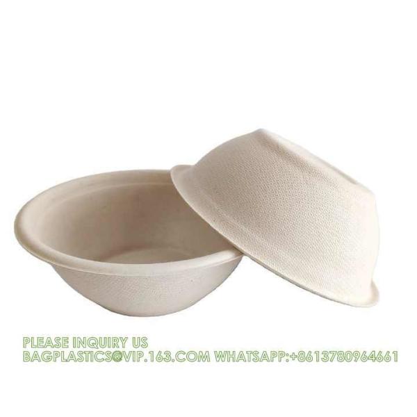 Eco-Friendly Customized Size Grease Oil Water Proof Microwavable Plate Disposable Compostable Sugarcane Bagasse