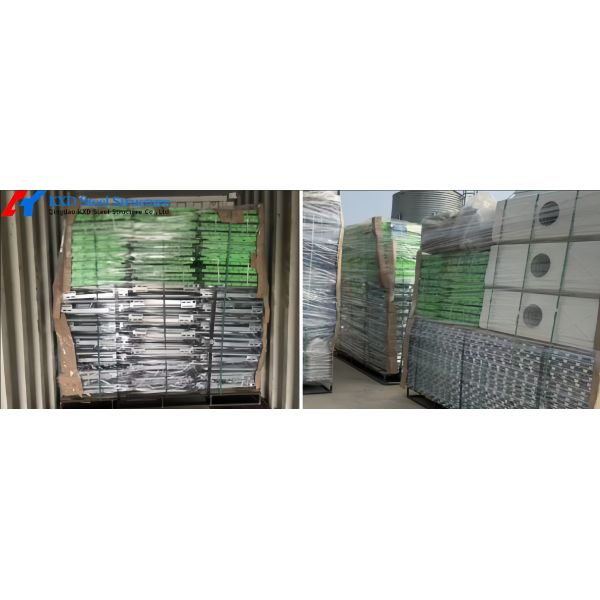 SS304 Piggery Farm Equipment Durable Automatic Pig Feeder Quick Installation