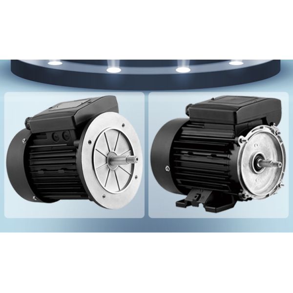 Moteur asynchrone monophasé en aluminium étanche pour pompe de piscine 1500 tr/min 220V 50/60Hz