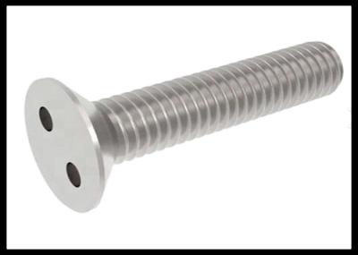 M1.6 M1.7 Two Holes Snake Eyes Pig Nose Flat Head Anti Theft Security Metal Screw A2 A4 Ss Custom Size 