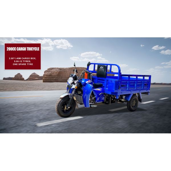 1 passager 200cc à air refroidi tricycle à moteur de fret à 60 km/h vitesse et transmission d'arbre