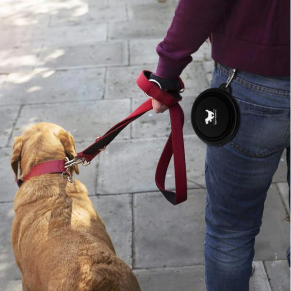 Costom Slow Feeder Dog Bowl Tpe Rubber Dog Bowl Travel Drink Feeder