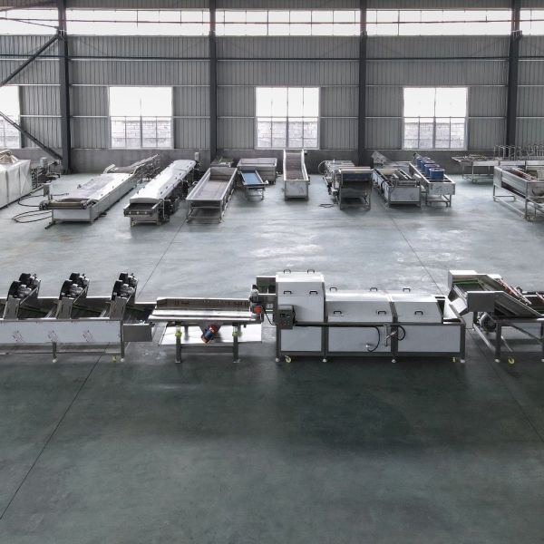 Advanced Fruit and Vegetable Processing Equipment for Cleaning