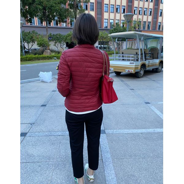Ladies Casual 100% Nylon Windproof Thermal Jacket 5 Colors For Winter