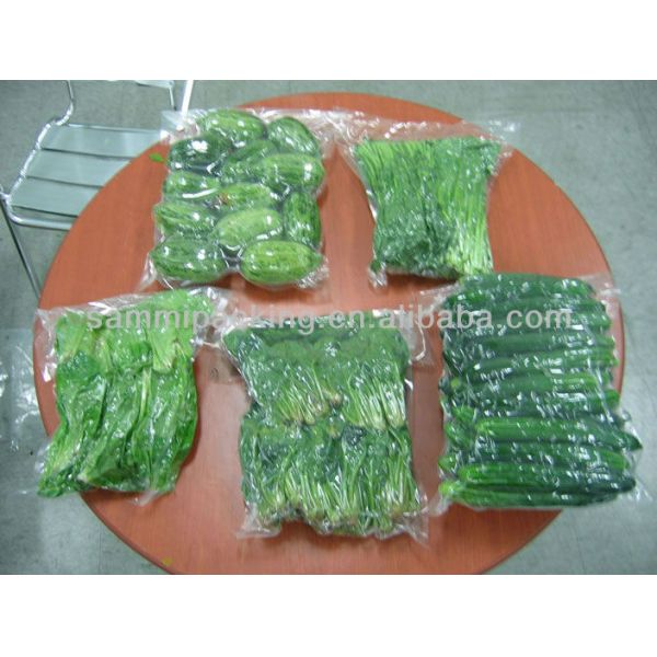 Appareil d'étanchéité sous vide à double usage pour les emballages alimentaires