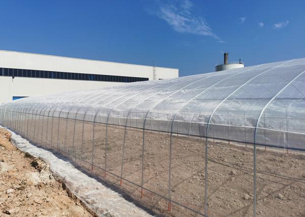 Économique Installation facile Polycarbonate Serre équipements poly-tunnel