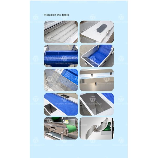 Vegetable Hair Roller Bubble Washing Selection Cutting Machine Production Line