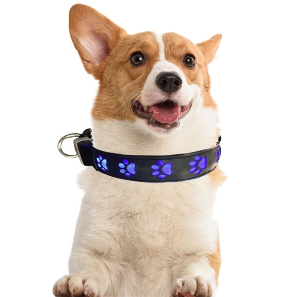 All Season LED Flashing Dog Collar Small Medium Large Illuminated Dog Collar