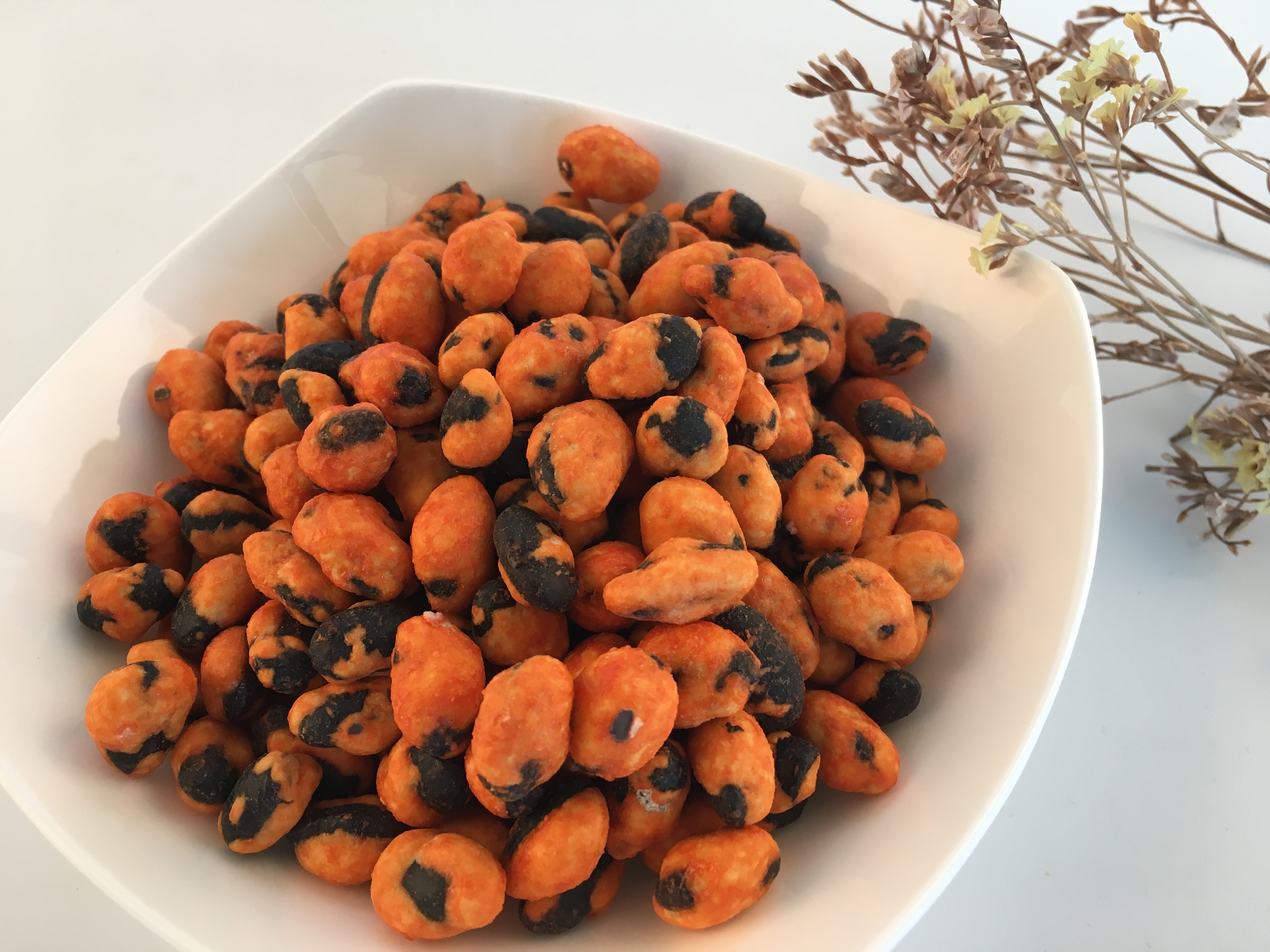Фасоли Vegan полностью естественные смешанные зажаренные в духовке и чокнутый сухофрукт здоровые
