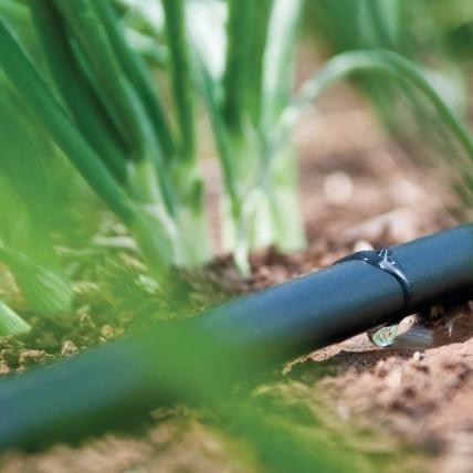 Mangueira plástica do gotejamento da cor de Fed Greenhouse Watering System Black da gravidade do jardim