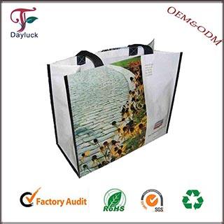 Fashional Shopping cart bags for marketing