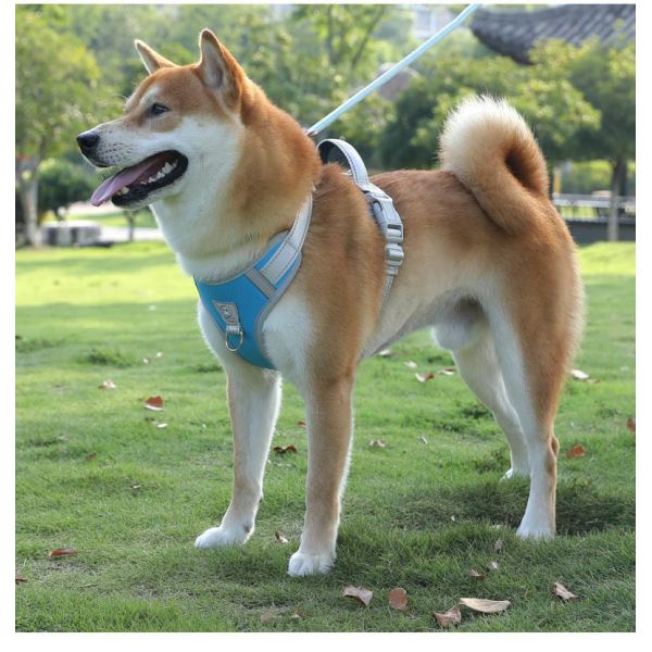 Adjustable Soft Padded Dog Harness Reflective Safety Escape Proof Durable Pet Harness Bulk Supply