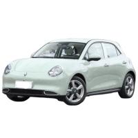 Hot Mini ORA EV Car Energy Vehicles 2023 ORA Good Cat Electric Car with 170 HP Motor and 425/600 km Cruising Range